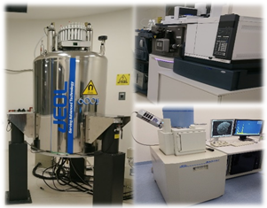 RMN, Espectrómetro de masas-GC-UHPLC, Microscopio SEM.